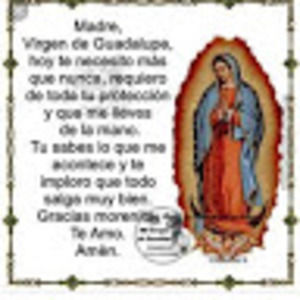 Meet your Posher, Aracely